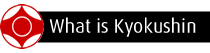 what is kyokushin